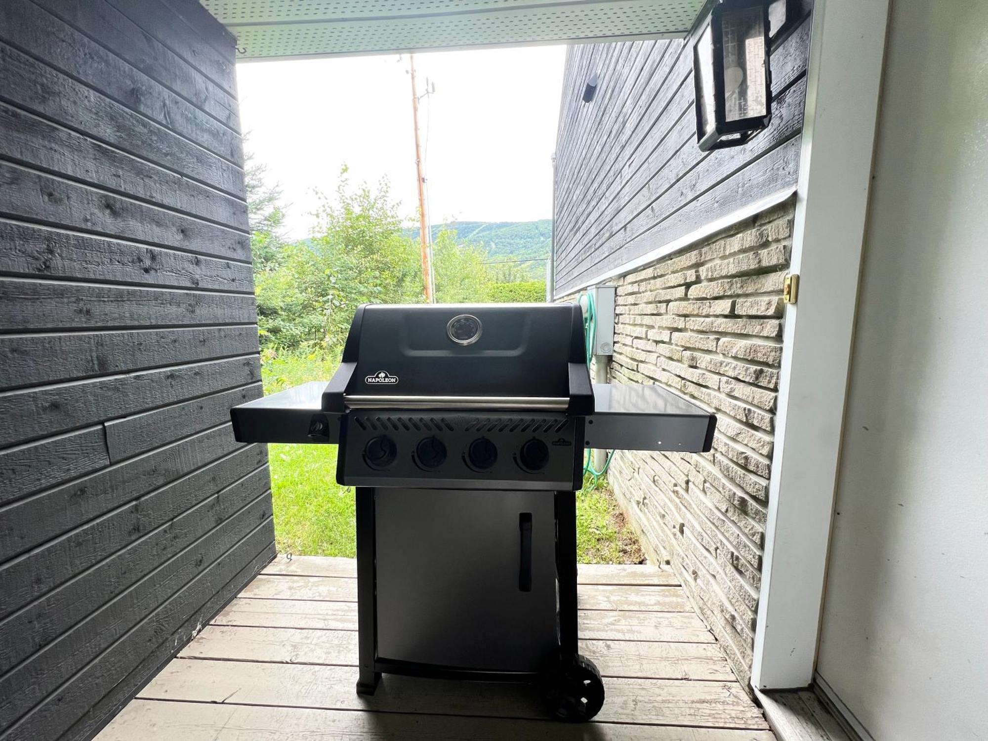 Chalets Montmorency Mont-Sainte-Anne المظهر الخارجي الصورة